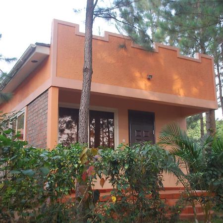 Saltek Forest Cottages Masindi Zewnętrze zdjęcie