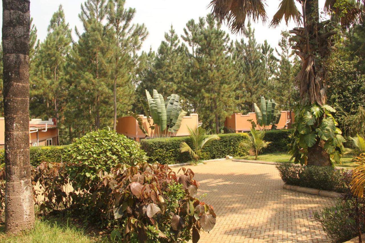Saltek Forest Cottages Masindi Zewnętrze zdjęcie