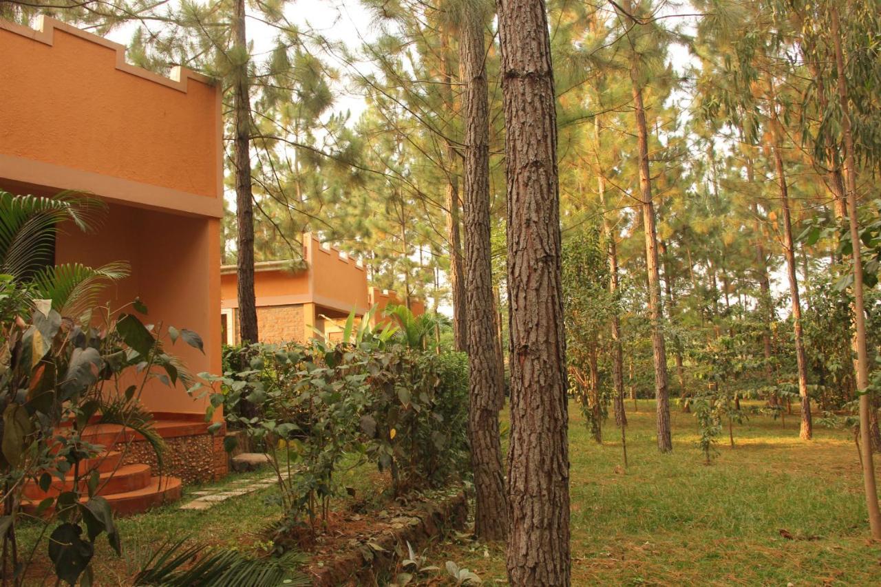 Saltek Forest Cottages Masindi Zewnętrze zdjęcie