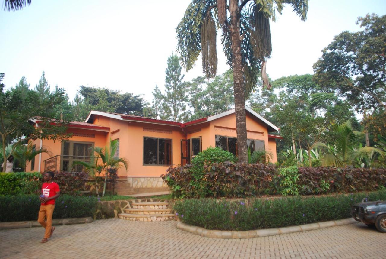 Saltek Forest Cottages Masindi Zewnętrze zdjęcie