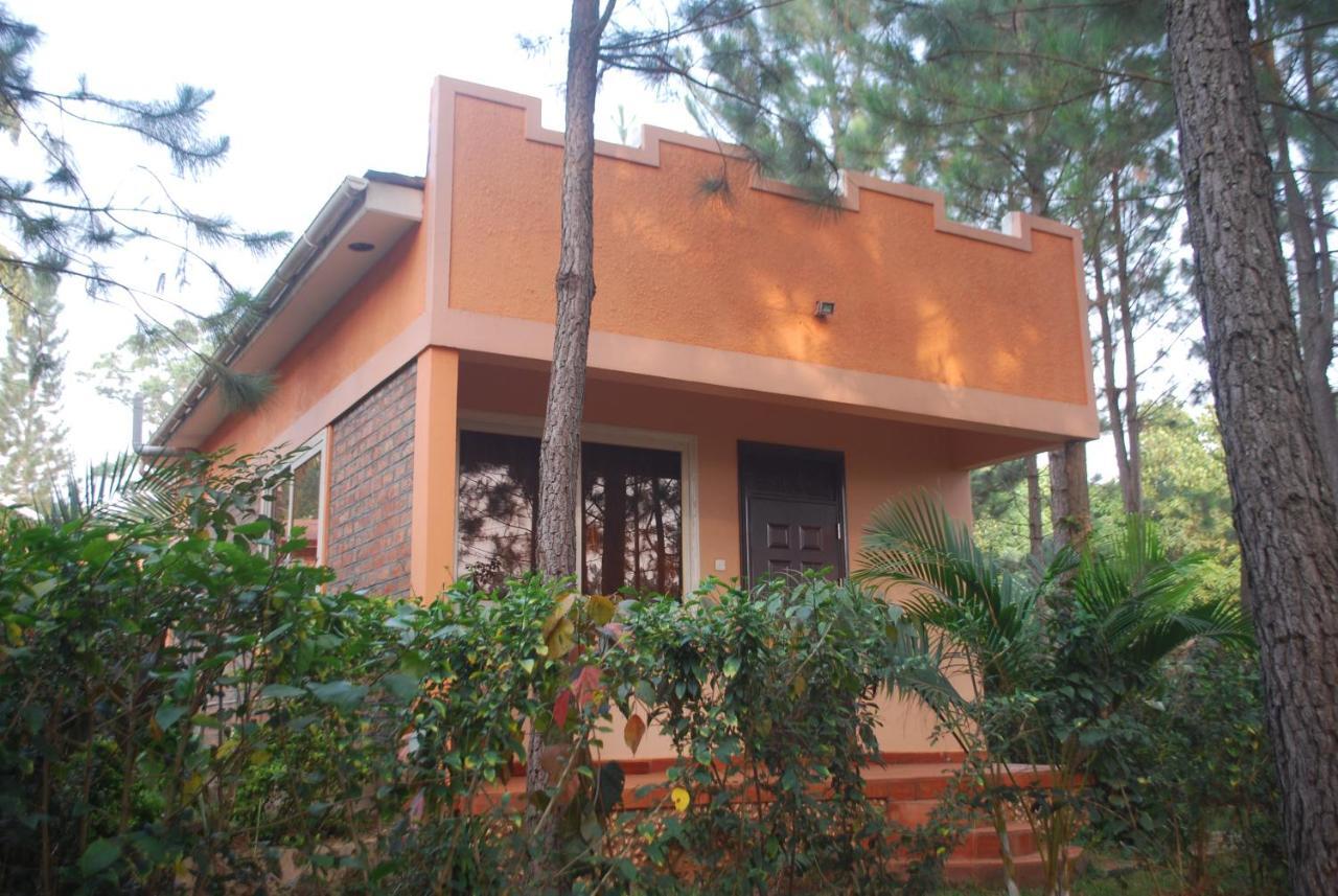 Saltek Forest Cottages Masindi Zewnętrze zdjęcie